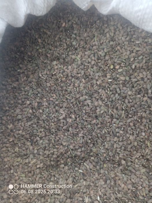 Saladera  seradela