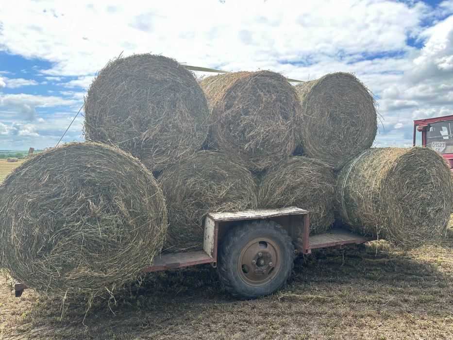 Сіно люцерни в об'ємних тюках