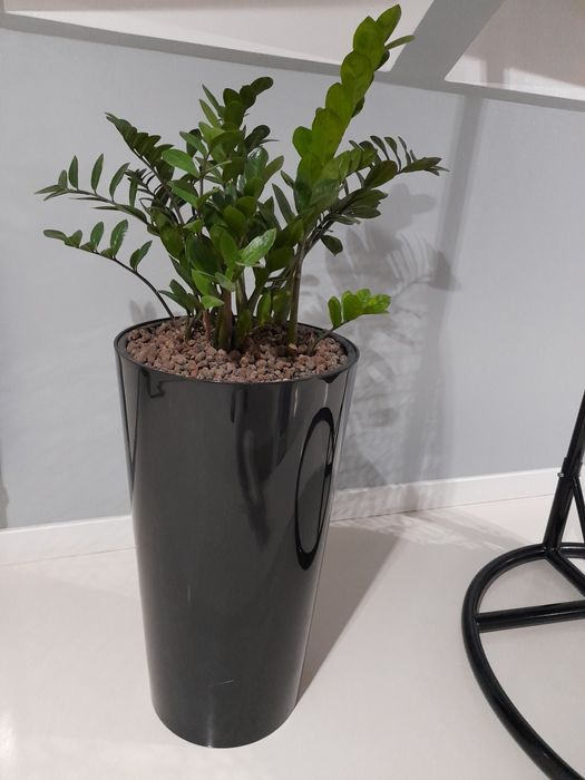 Donica bardzo duża czarna 75x40