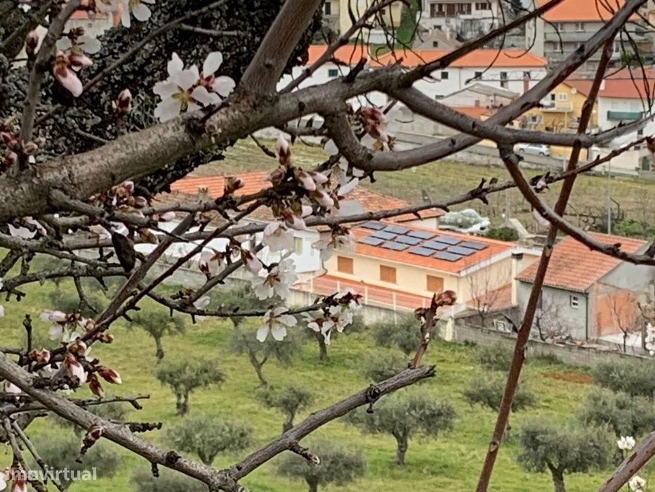 Moradia T4 na Horta do Douro, Foz do Côa: Conforto Histórico e Moderni — Horta, Guarda