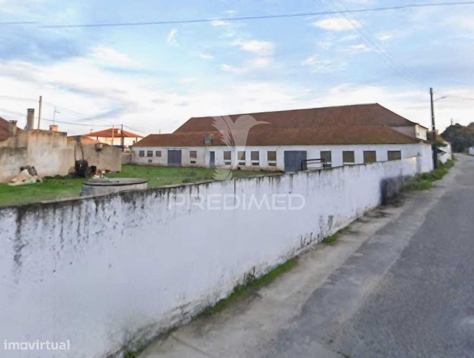 Armazém com terreno urbanizável