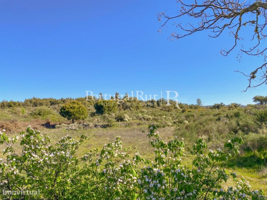 Terreno rústico com 22.760 m² em Monsanto — Monsanto E Idanha-A-Velha, Castelo Branco