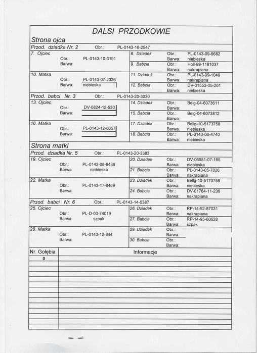 Młode Para 67 Oryg. A.M Wiosna Inbred Starego Szpaka gołębie pocztowe