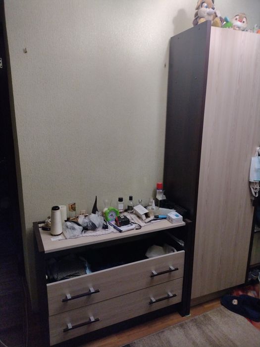 Прихожая  2,95 .