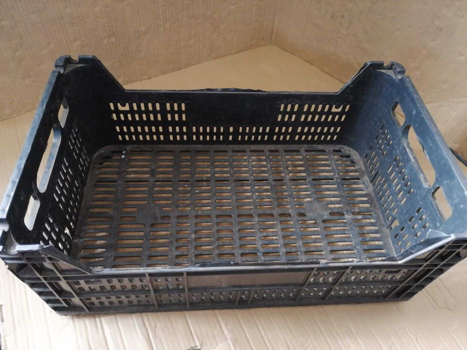 caixa plástico para fruta, legumes ou arrumação