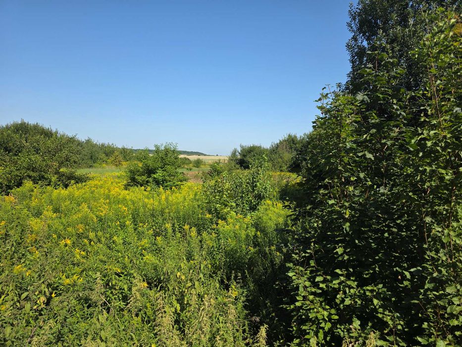 Ділянка на Трасі  Львів - Самбір 1-ша лінія 50 соток