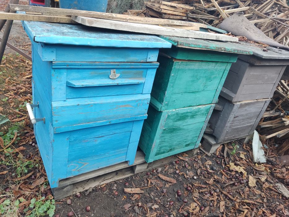 Вулики Дадан 12 рамок