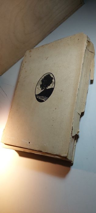 Sul de Angola, Relatório de um Governo de Distrito - João de Almeida (2ª edição, 1936) | Ver Fotos e Descrição