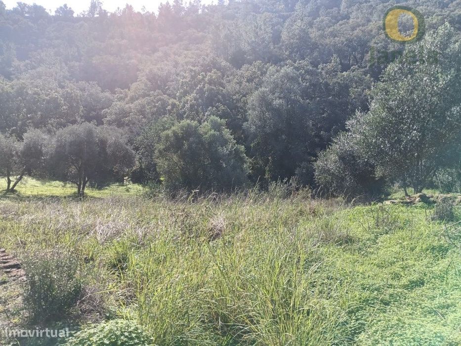 Terreno Venda Loulé