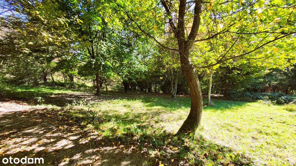 Istebna | 4000 m² | Złoty Groń | REZERWACJA