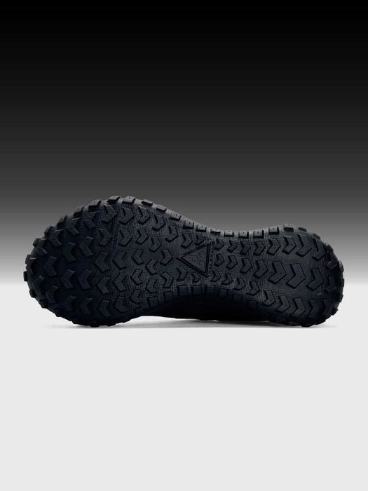 Кросівки  чоловічі Nike ACG Mountain Fly Low Gore-Tex