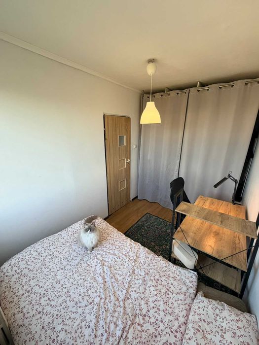 Mieszkanie – Rzeszów, Śródmieście - Widok 4