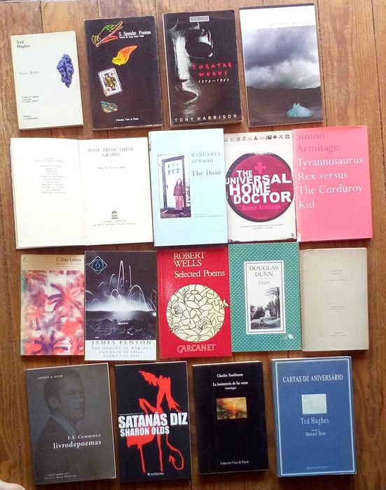 Poesia inglesa e norte-americana