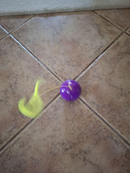 Bola interativa para gato