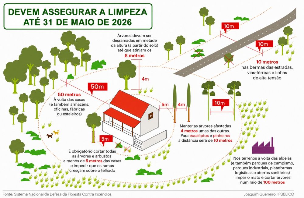 Limpeza de terrenos (Roçadora)