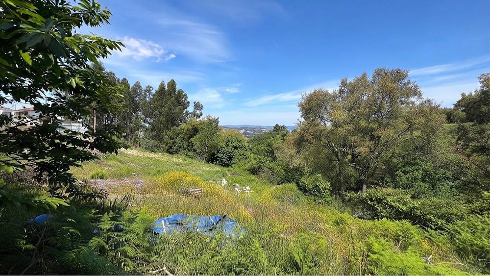 TERRENO 3.000 m² em Negrelos – aceito AUTOCARAVANA / MOTORHOME em troca