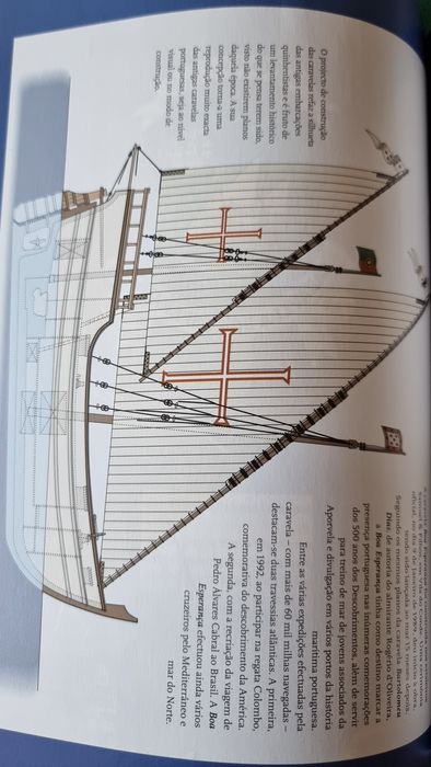 Caravela Tropical de João Céu e Silva