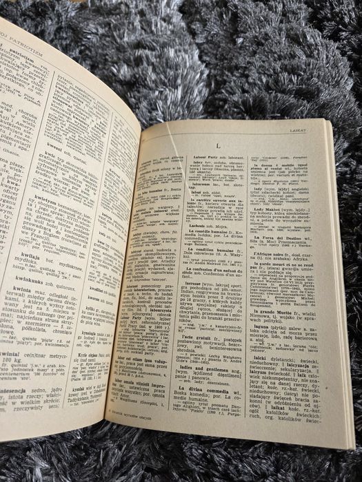 Słownik wyrazów obcych i zwrotów obcojęzycznych