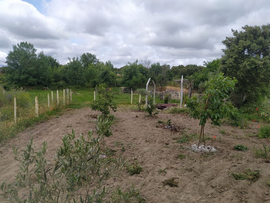 OPORTUNIDADE ÚNICA - Casa T4/T5 c/terreno