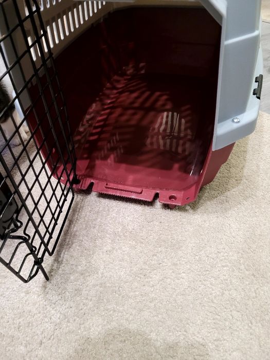 Transportadora animais