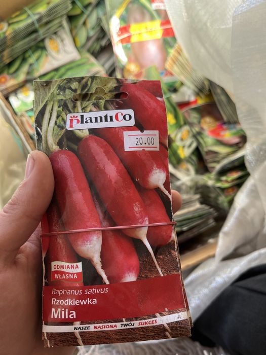 Насіння Різне