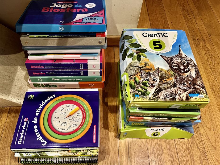 Vendo livros escolares com Caderno de Atividades (Novos)