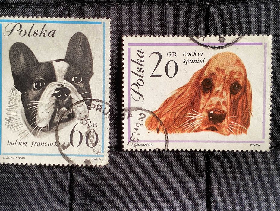 Znaczki pocztowe, tematyczne, Polska, Rasy psów
