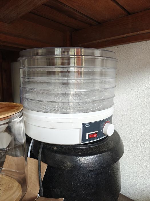 desidratador de alimentos