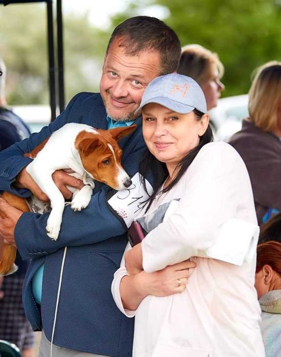 Цуценята  басенджі