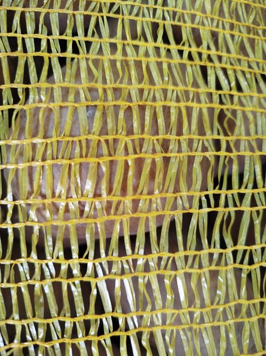 Batata Agria 20 Kilos excelente 2025