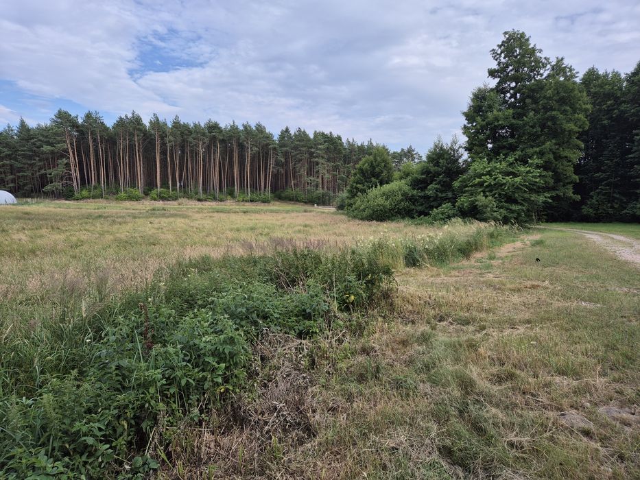 Działki budowlane Korwin