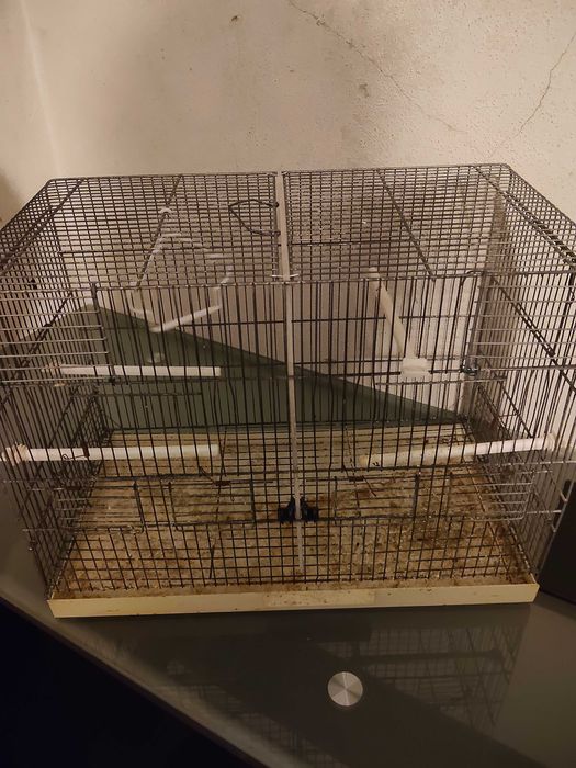 Gaiola para papagaio