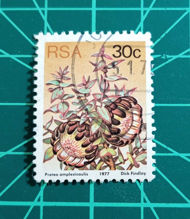 SELOS - ÁFRICA DO SUL 1 - 1977 - Flora - Plantas Protea