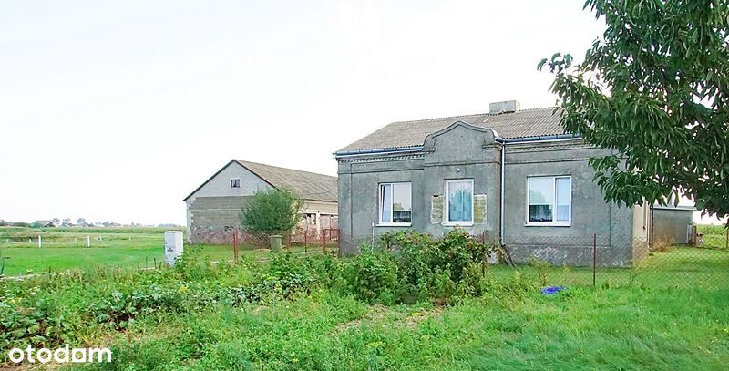 Dom – Zbójno - Widok 3