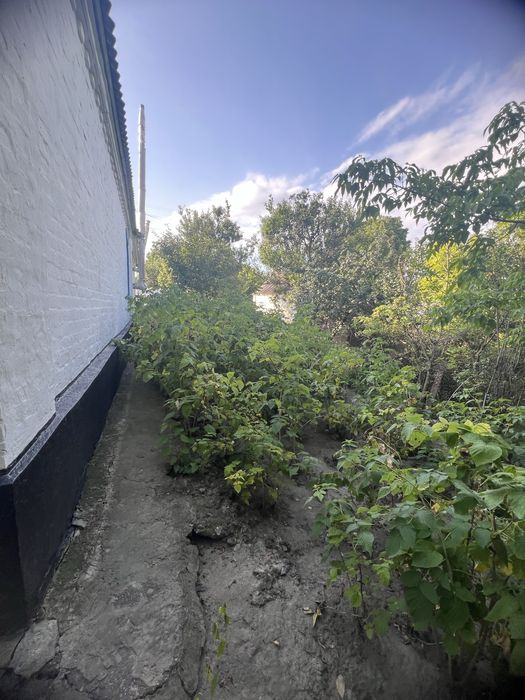 ‼️ПРОДАЖ  будинку   в селі  Лосятин