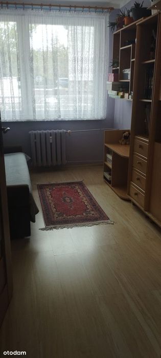 Zdjęcie 7