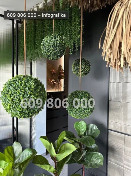 Apartament Jacuzzi Sauna THALI Gdańsk Stare Miasto