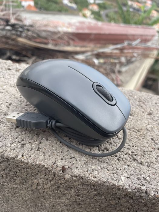 Mouse Logitech M100