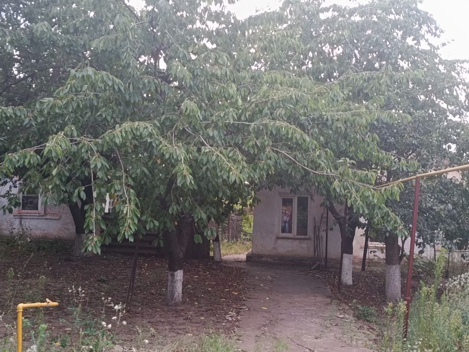 Сдача дом под продажу