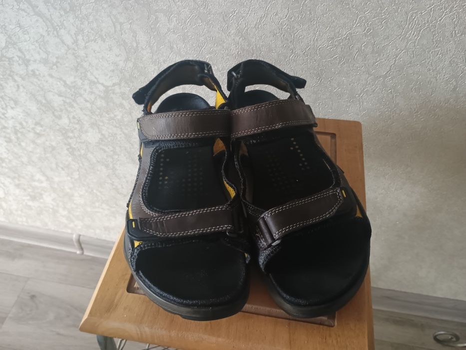 Сандалі чоловічі Ecco Biom