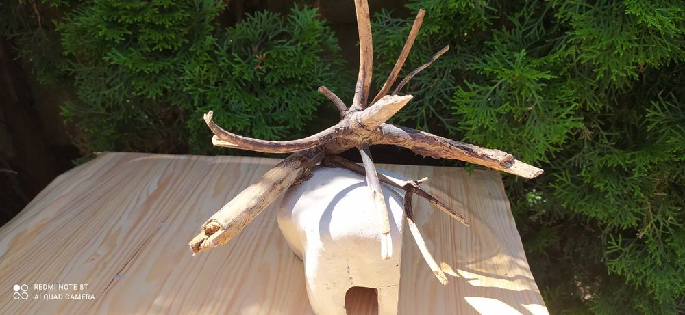 Grota z korzeniem do akwarium