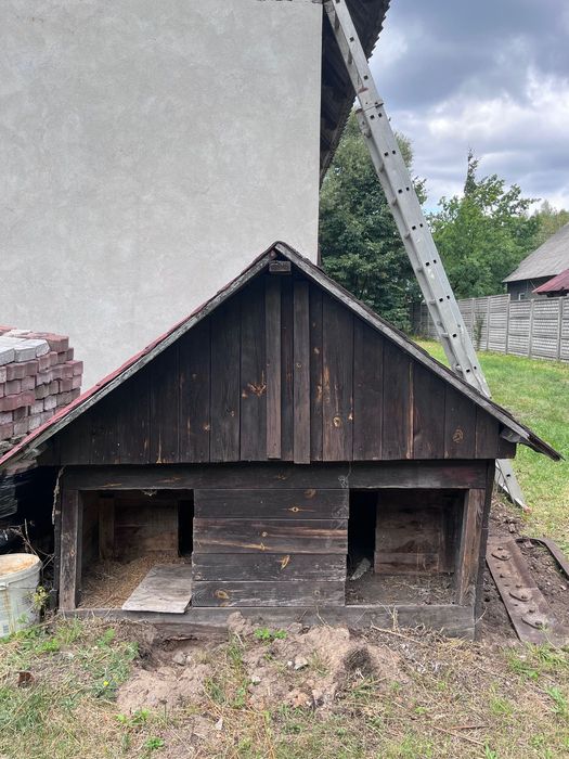 Drewniana buda dla dwóch psów - oddam za darmo