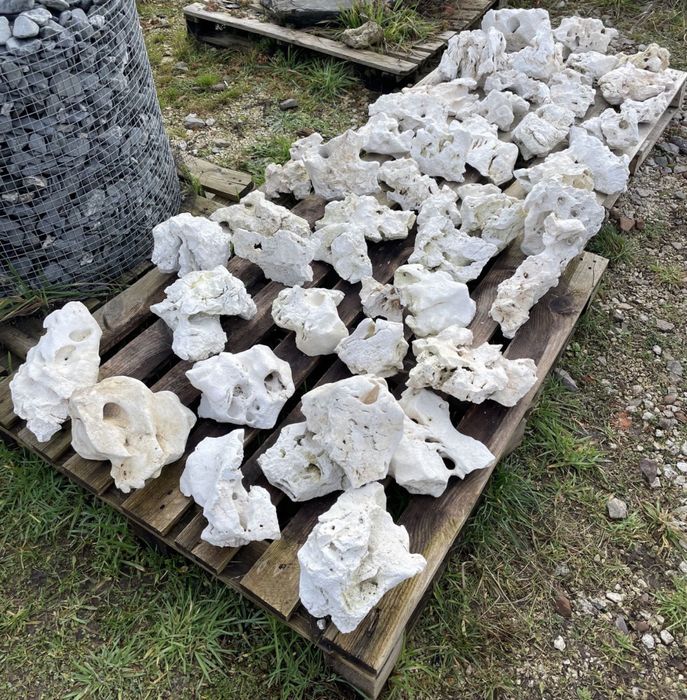 BIAŁY WAPIEŃ FILIPIŃSKI Kamień do Akwarium Malawi Tanganika Iwagumi