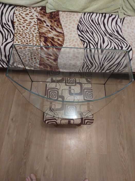 Акваріум для рибок овальний