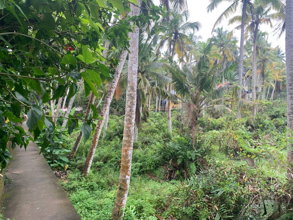 Продаж!!!Будинки на 40 сот. в м.Остер.До Десни 100м.