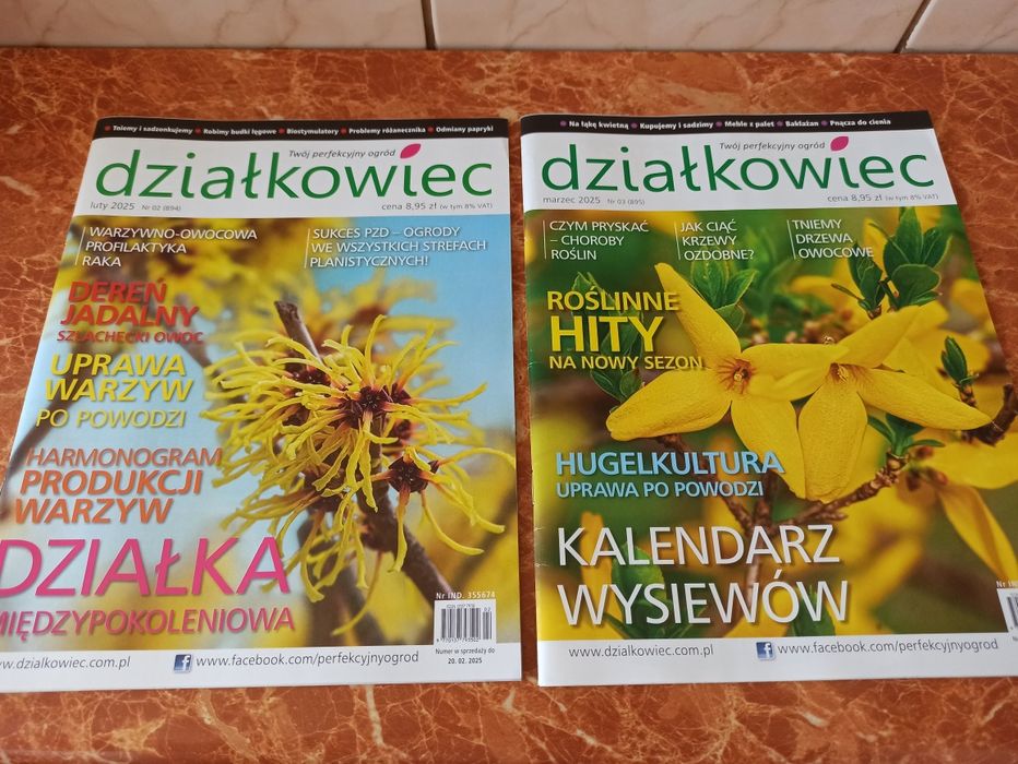 Miesięcznik Działkowiec - 12 numerów