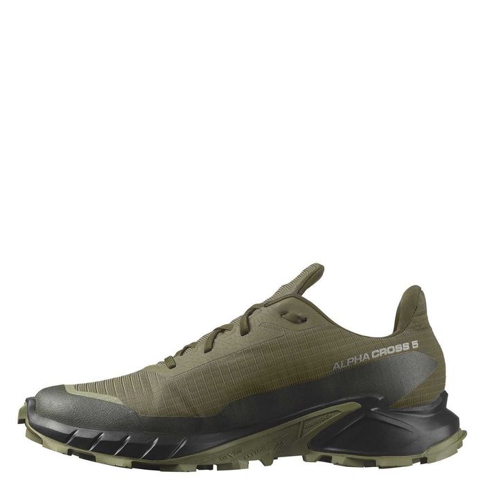 Чоловічі кросівки SALOMON  Alphacross 5 GTX (473103)
