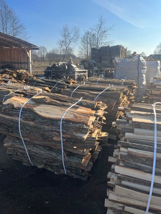 OPAŁ, ZRZYNY ,  dąb, sosna - 100 zł PROMOCJA