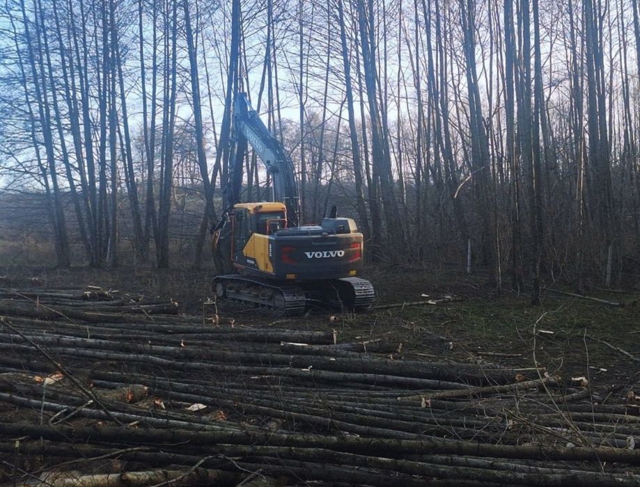 MulczerLeśnyWgłębnyWycinkaDrzewSamosiewówPraceZiemneUsługiKoparką