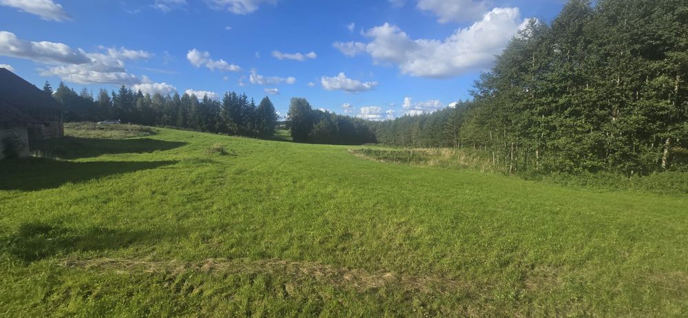 Sprzedam siedlisko w lesie Pieniezno Rozaniec